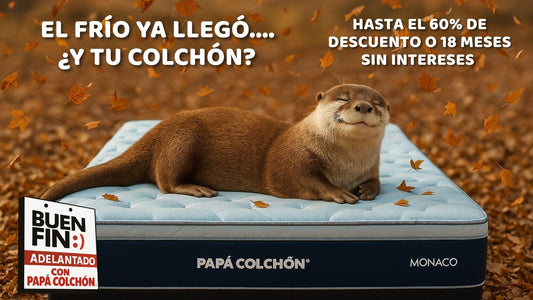 Cómo elegir el colchón ideal según el clima | Guía Papá Colchón