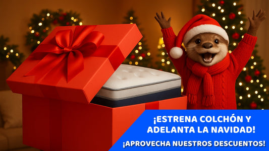 Cómo preparar tu descanso para el frío: colchones y accesorios ideales para invierno | Papá Colchón